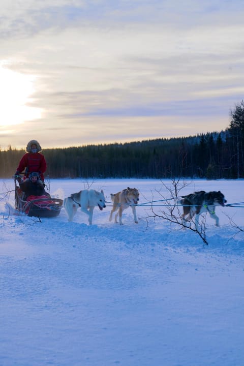Majestic 3 Bedroom Villa With Sauna Villa in Rovaniemi