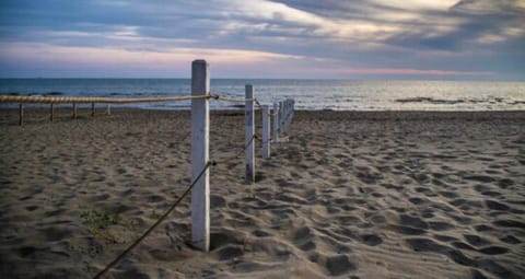 Incantevole appartamento a Torvaianica Apartment in Torvaianica