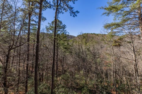 Hurricane Hideaway - Powder Horn Mountain House in Watauga