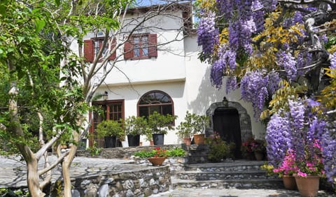 Wonderful 4 Bedroom Villa & separate guest house Villa Thalia Villa in Magnesia Prefecture, Greece