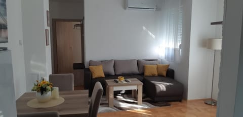 Apartman Vlada Apartment in Serbia