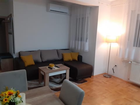 Apartman Vlada Apartment in Serbia