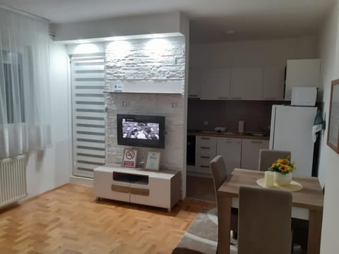 Apartman Vlada Apartment in Serbia