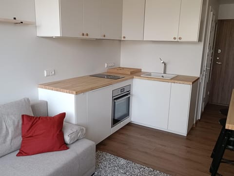 Kitchen or kitchenette, stove