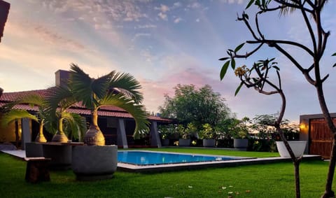 Garden, Garden view, Pool view, Swimming pool