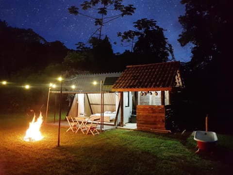 Patio, Night, Natural landscape, Garden view