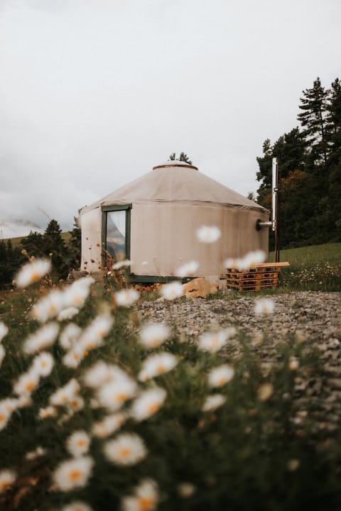 Day, Garden, Garden view