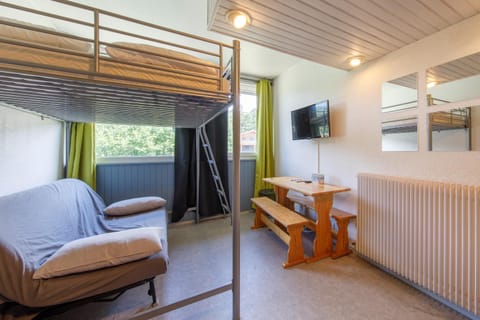 Super Besse les grands horizons chez Lorenzo et Séverine Apartment in Besse-et-Saint-Anastaise