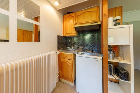 Super Besse les grands horizons chez Lorenzo et Séverine Apartment in Besse-et-Saint-Anastaise