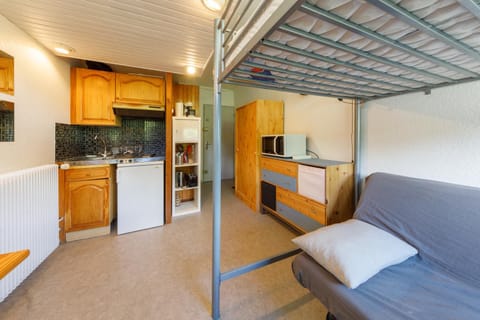 Super Besse les grands horizons chez Lorenzo et Séverine Apartment in Besse-et-Saint-Anastaise