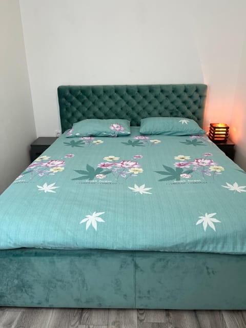 Aurora Apartment in Serbia