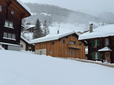 Property building, Natural landscape, Winter