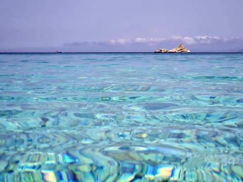 Day, Natural landscape, Beach