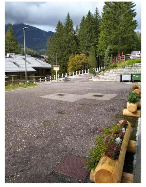 Natural landscape, Mountain view, Street view, Parking