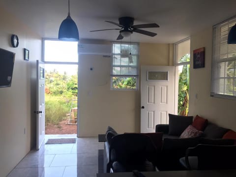 Patio, TV and multimedia, Living room, Dining area, fireplace