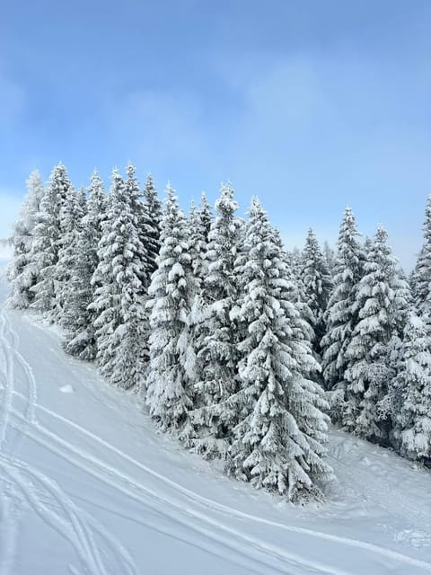 Apartments Kabashi 2 RIVER View Apartment in Zell am See