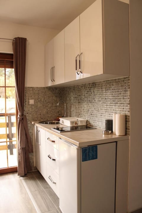 Kitchen or kitchenette, stove