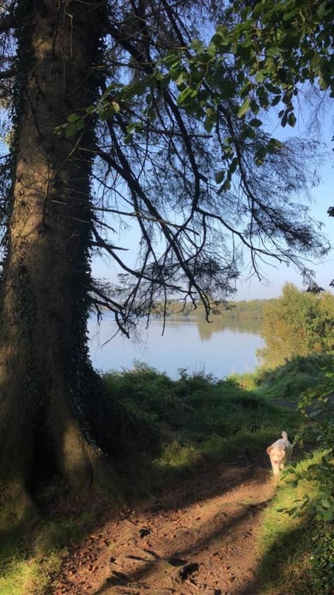 Cracatinni Mews Apartment in Wicklow, Co. Wicklow, Ireland