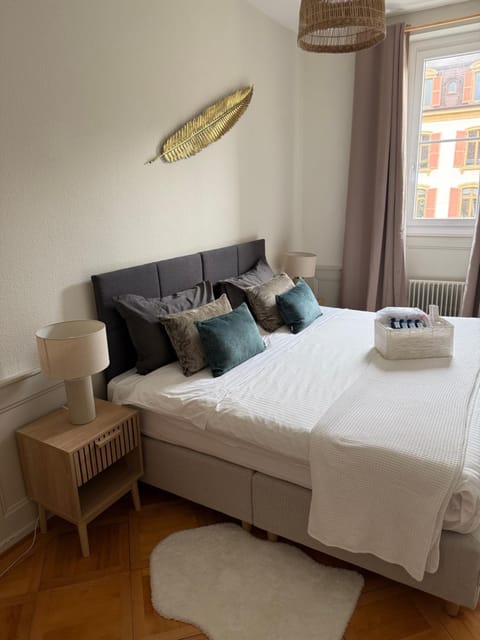 V&V CENTRE Neuchatel Apartment in Neuchâtel