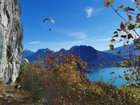 Maisonnette House in Menthon-Saint-Bernard