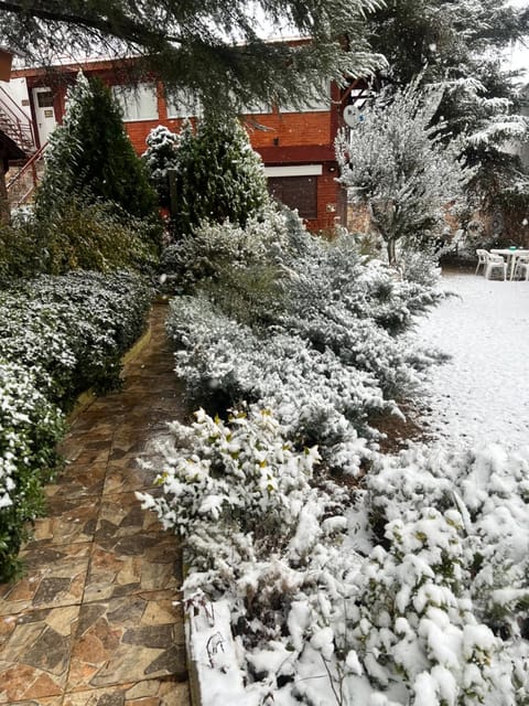 Day, Winter, Garden
