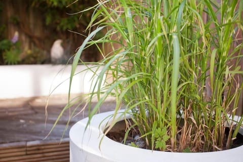 Walking distance to racecourse and city centre House in York