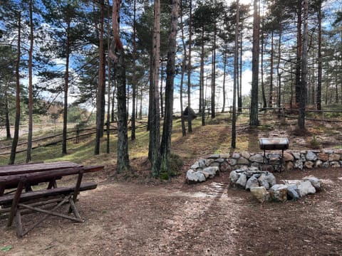 Vikendica Martinović House in Zlatibor District, Serbia