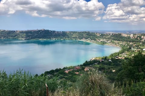 Lake view