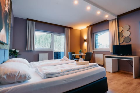 The Art and Sporthotel Apartment in Innsbruck