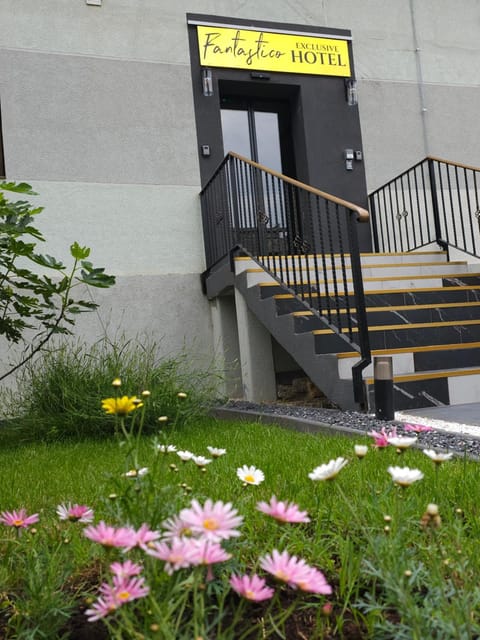Property building, Spring, Day