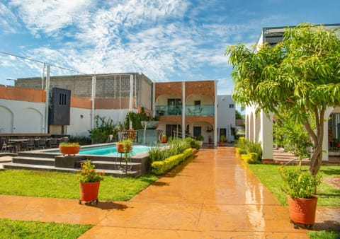 Garden view