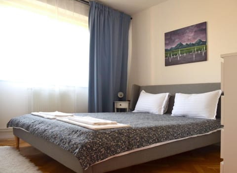 Apartament Mony Apartment in Timisoara