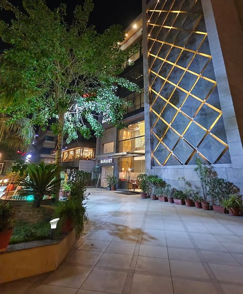 Property building, Night, Garden, Garden view