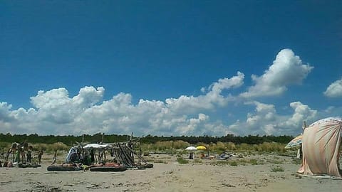 Natural landscape