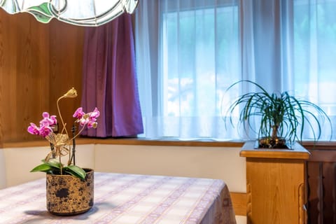 Dolomites Apartment Christian Apartment in Ortisei