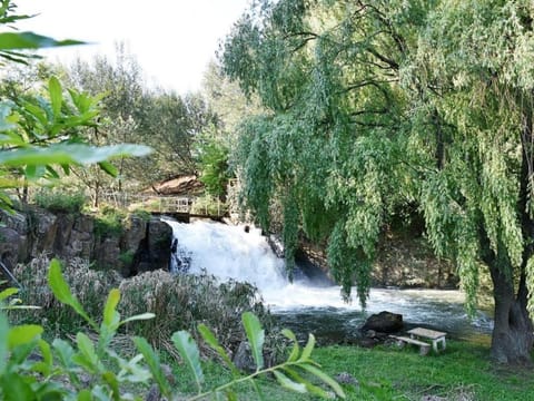 Natural landscape