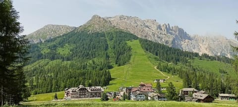 Property building, Natural landscape, Summer, Mountain view, Family