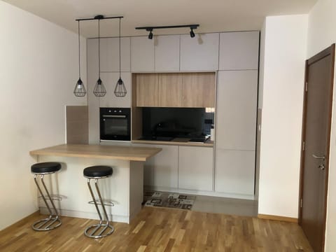 Stylish charming apartment Apartment in Podgorica