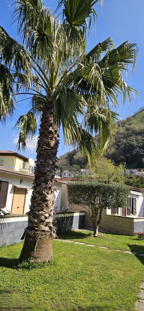 Casa Auri Apartment in Pozzuoli