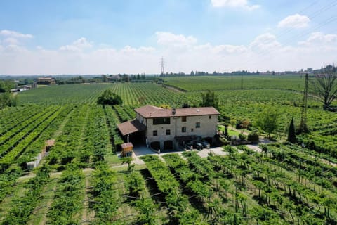 Property building, Natural landscape, Garden