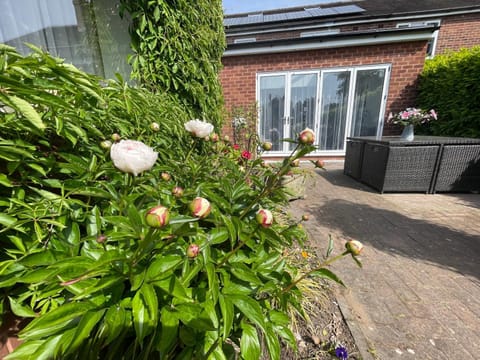 Cannock Chase Guest House - Modern Super Spacious Renovated home for 6 guests House in England