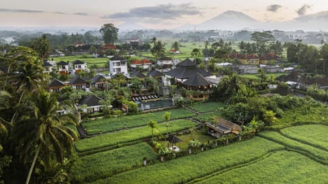 Nearby landmark, Bird's eye view