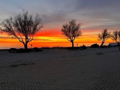 Day, Natural landscape, Beach, Sunset, Sunset