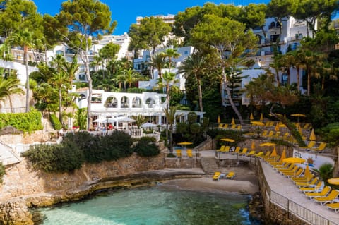 Property building, Natural landscape, Garden, Beach, Garden view