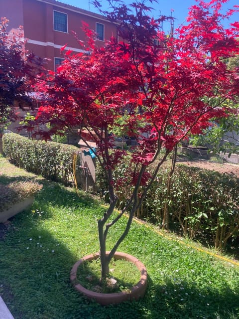 Delizioso appartamento in villa tra mare e città Apartment in Rome