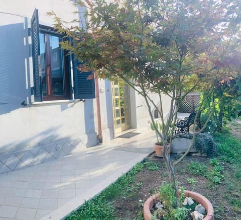 Property building, Garden view