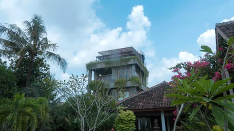 Property building, Day, Garden, Garden view