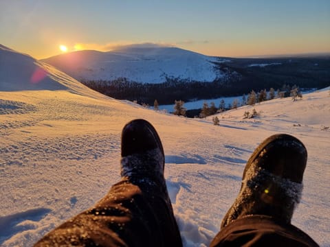 Natural landscape, Winter