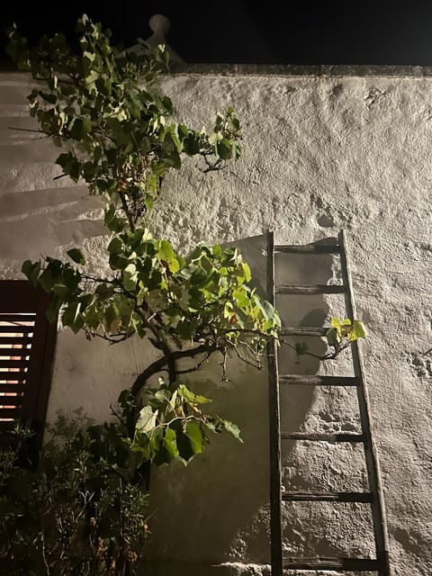 Trullo dei loti Villa in Province of Taranto