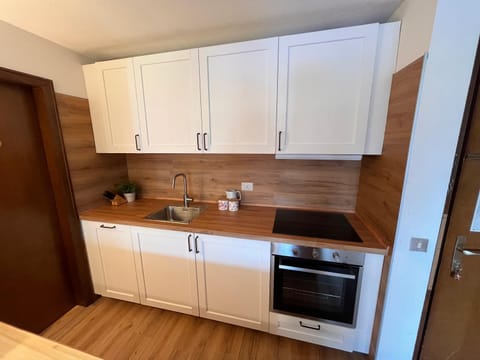 Kitchen or kitchenette, dishwasher, oven, stove